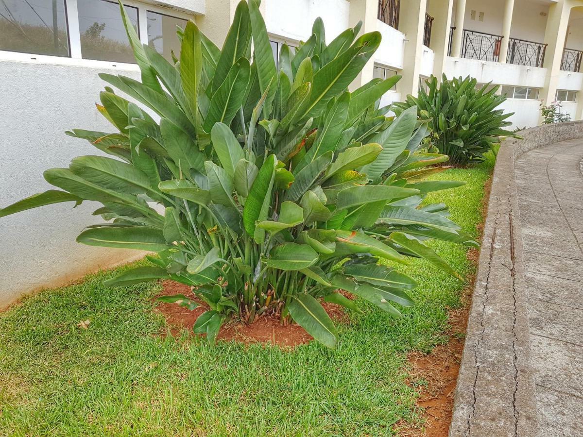Falesia Apartment - Reis Magos Beach Caniço Kültér fotó